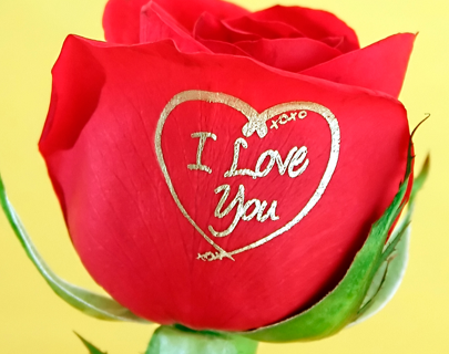 Romance