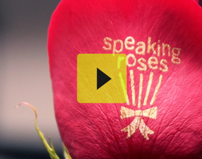 Speaking Roses
