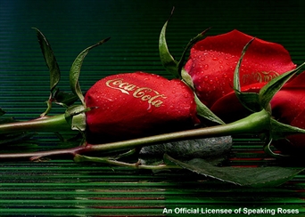 One Dozen Corporate Roses